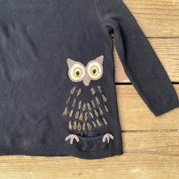 Bundle 3 for 50% off Upcycled Anthropologie Moth Sweater with Owl - Picture 2 of 4